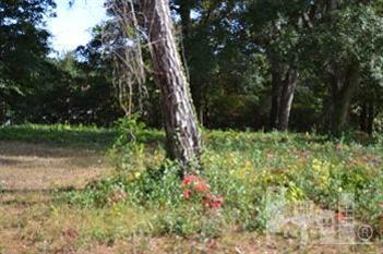 817 Shinn Point Road Wilmington, NC 28409 - Photo 1 of 4 Primary Photo
