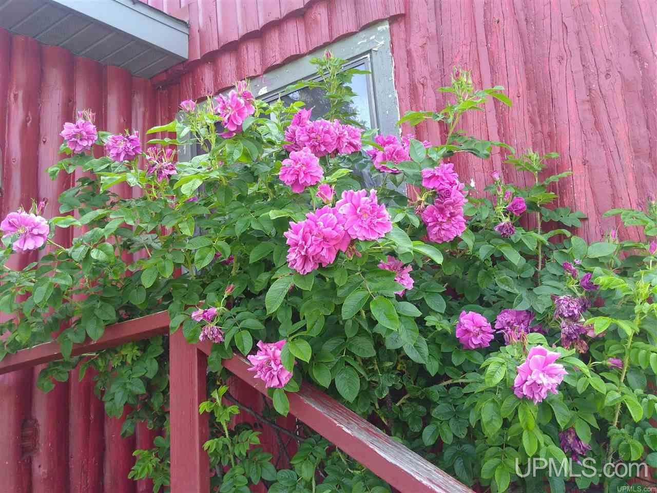N6123 North Ferguson Road Eben Junction, MI 49825 - Photo 19 of 31