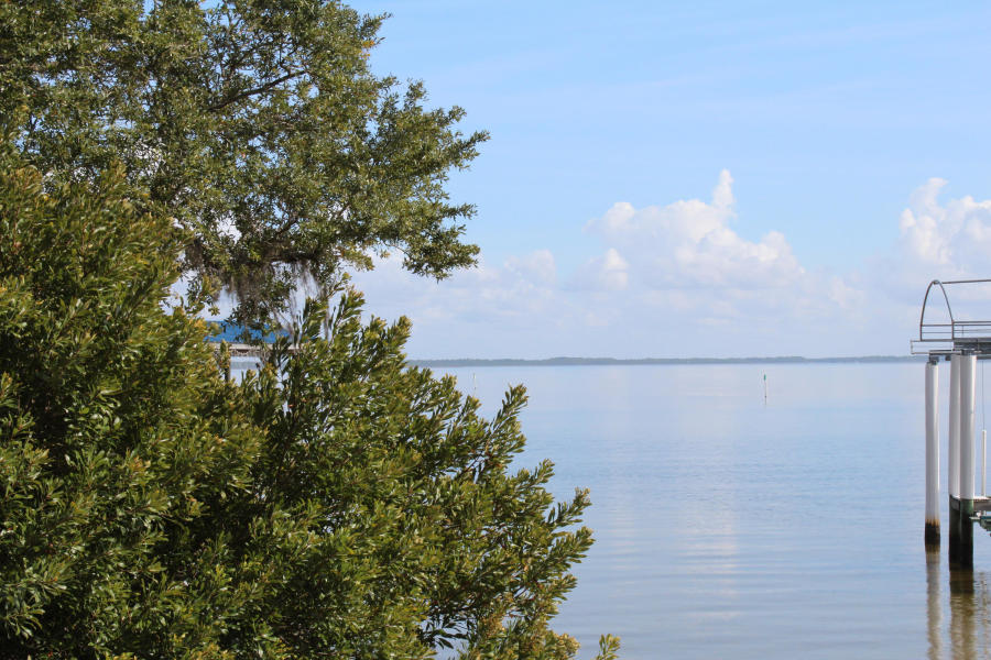 Bay