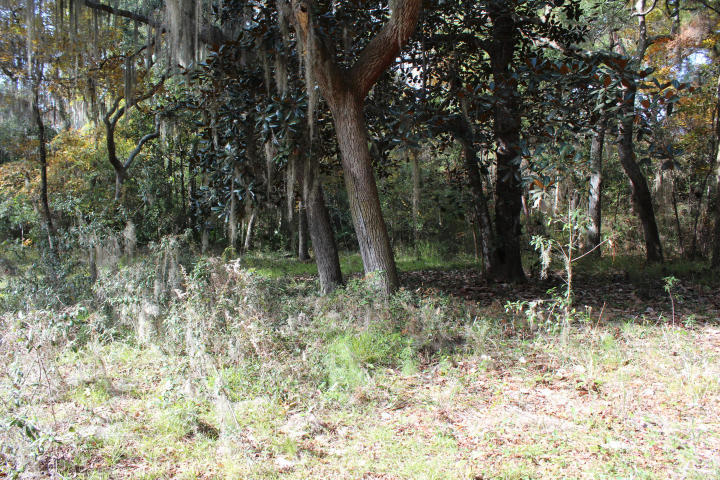 0 Sally Lane Santa Rosa Beach, FL 32459 - Photo 8 of 11 20180216134759473872000000-o