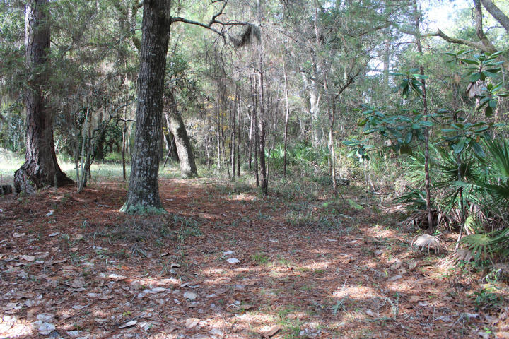 0 Sally Lane Santa Rosa Beach, FL 32459 - Photo 10 of 11 lot