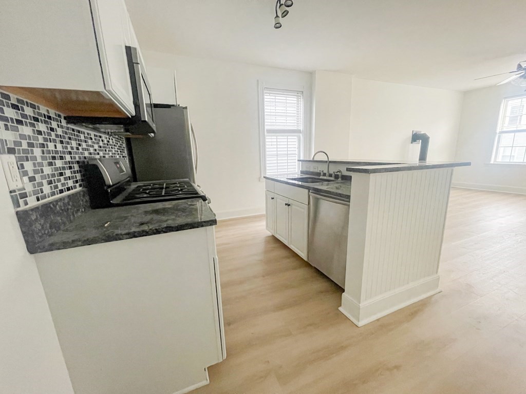470 East 7th Street, Unit 4 Boston, MA 02127 - Photo 4 of 16