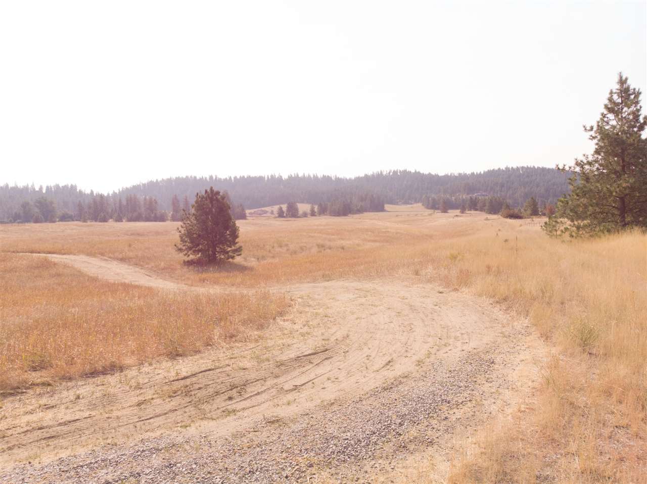 0 West Woolard Road Deer Park, WA 99006 - Photo 2 of 14 Gallery Image 2