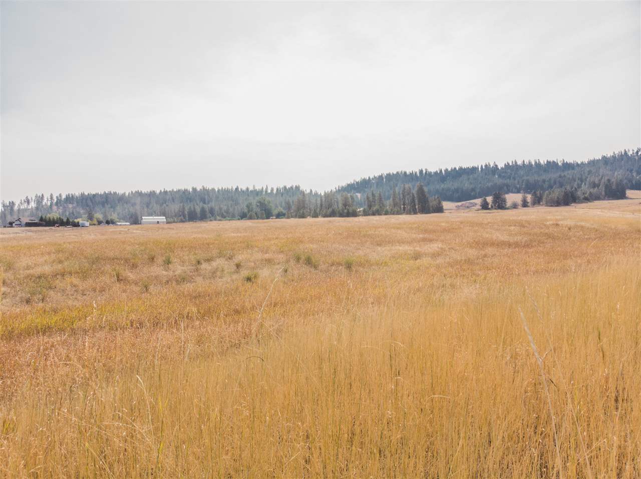 0 West Woolard Road Deer Park, WA 99006 - Photo 3 of 14 Gallery Image 3