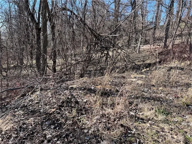 a view of a yard covered in snow