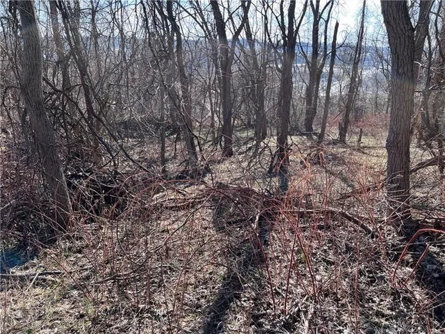 a backyard of a house