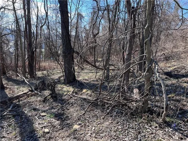 a view of a yard with large trees