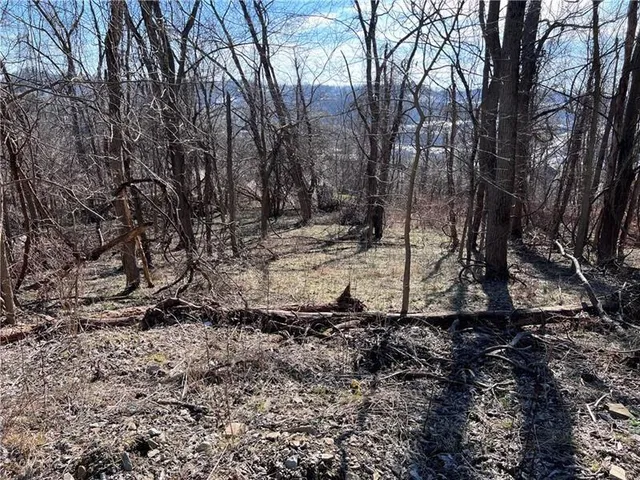 a view of a yard with wooden fence