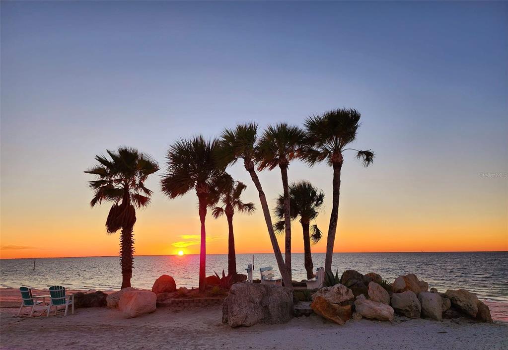 5451 Windward Way New Port Richey, FL 34652 - Photo 26 of 36 a view of a palm tree with an ocean view