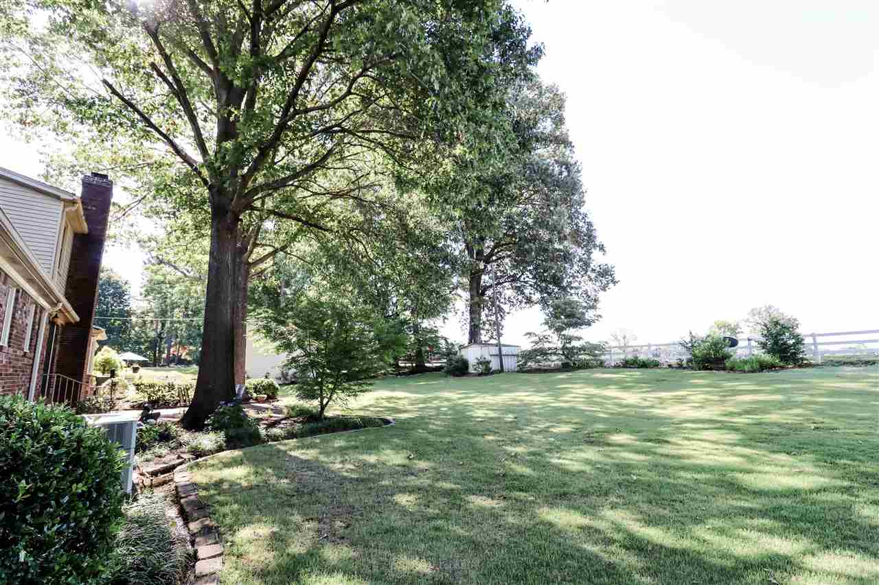 303 Lackey Lane Ripley, TN 38063 - Photo 6 of 25