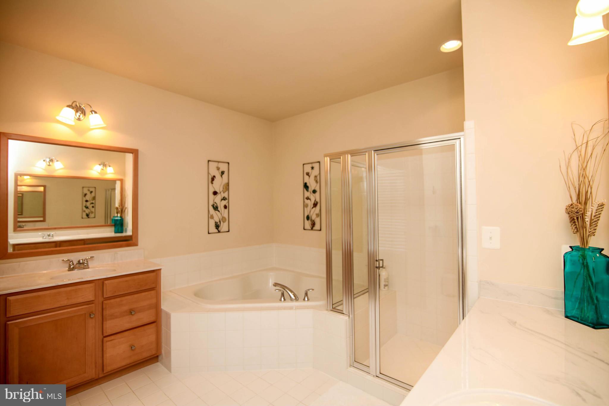 43089 Old Ryan Road Ashburn, VA 20148 - Photo 13 of 30 Double Vanities & Soaking tub *SEE TOUR