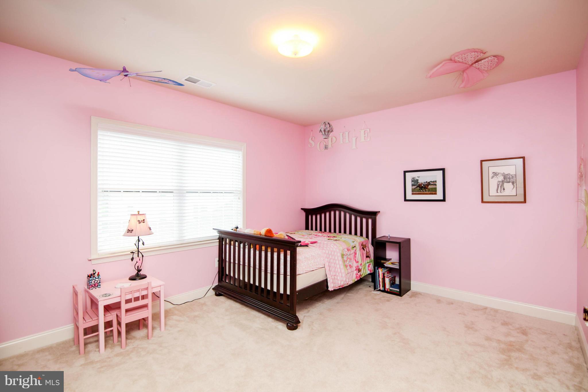 43089 Old Ryan Road Ashburn, VA 20148 - Photo 17 of 30 Guest Bedroom *SEE TOUR