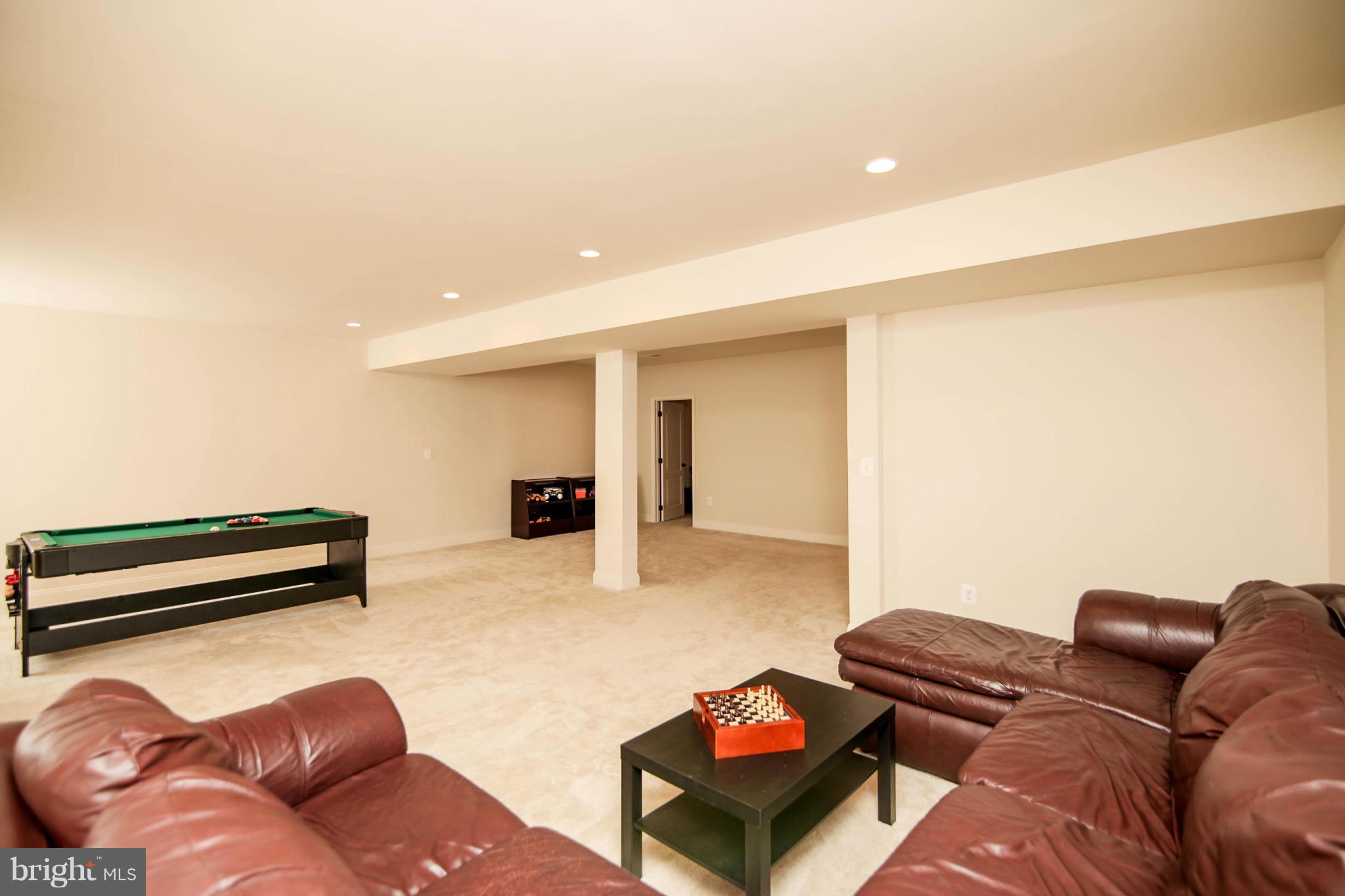 43089 Old Ryan Road Ashburn, VA 20148 - Photo 21 of 30 Perfect Game Space *SEE TOUR