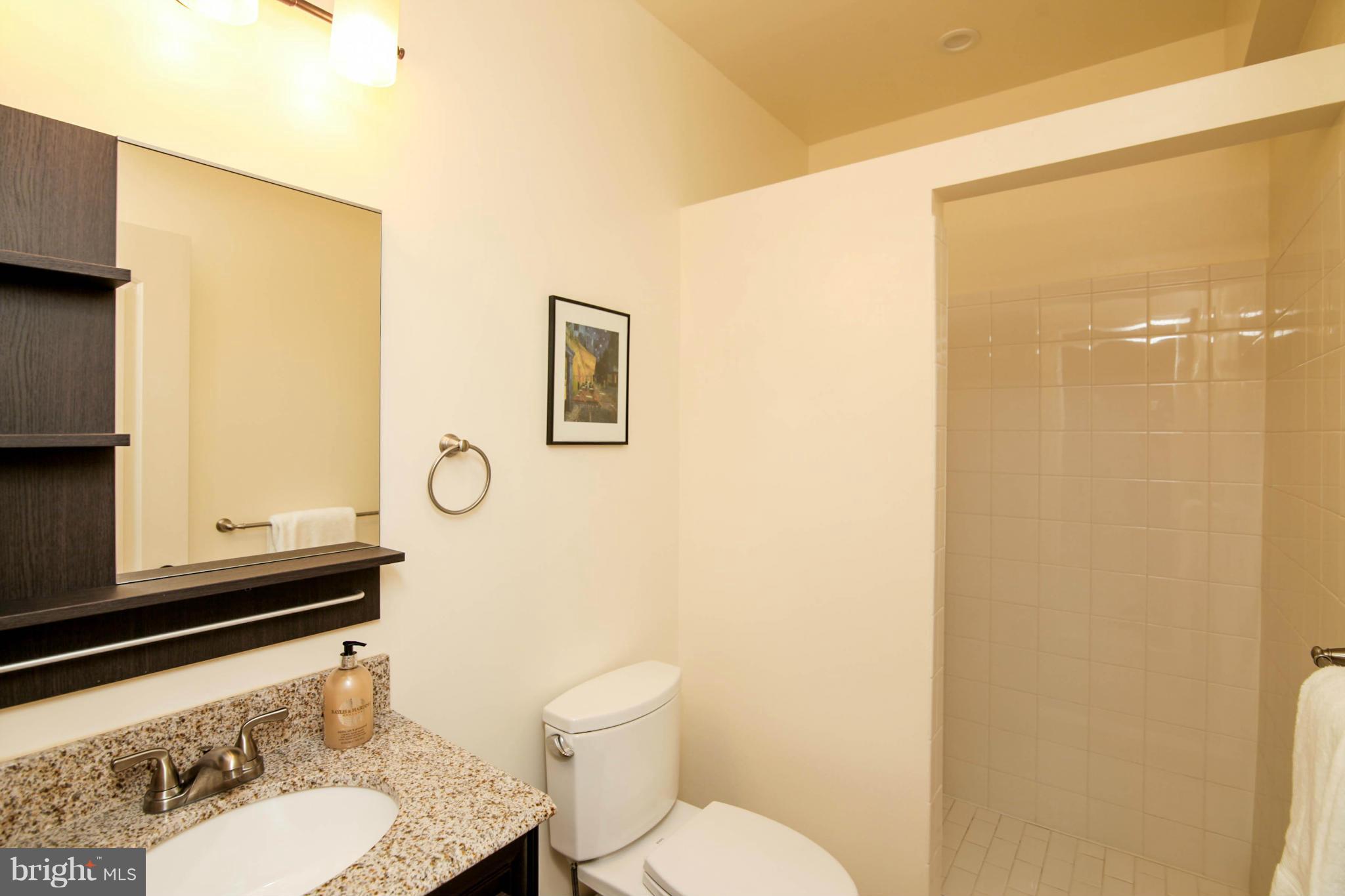 43089 Old Ryan Road Ashburn, VA 20148 - Photo 25 of 30 3rd Full Bath in Lower level *SEE TOUR