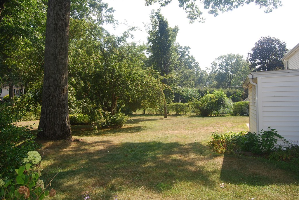 687 Plumtree Road Springfield, MA 01118 - Photo 26 of 27 a view of a yard with a tree