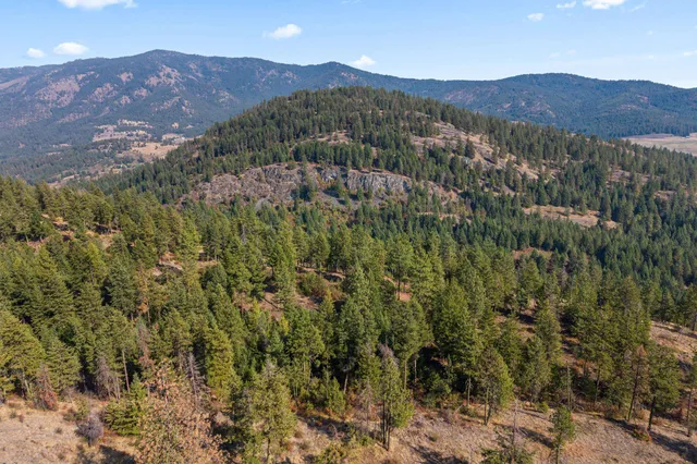 $85,000 | 17-xx Orin-Rice Road, Rice, WA 99167