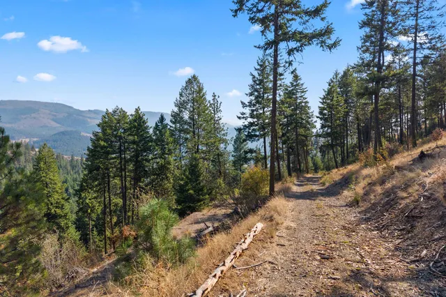 $85,000 | 17-xx Orin-Rice Road, Rice, WA 99167