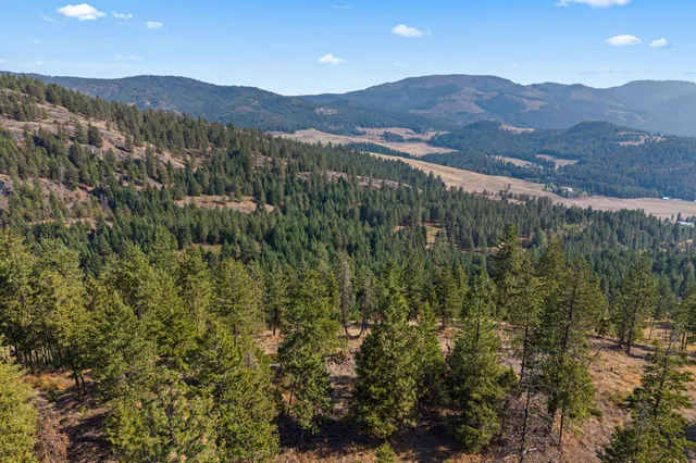 $85,000 | 17-xx Orin-Rice Road, Rice, WA 99167