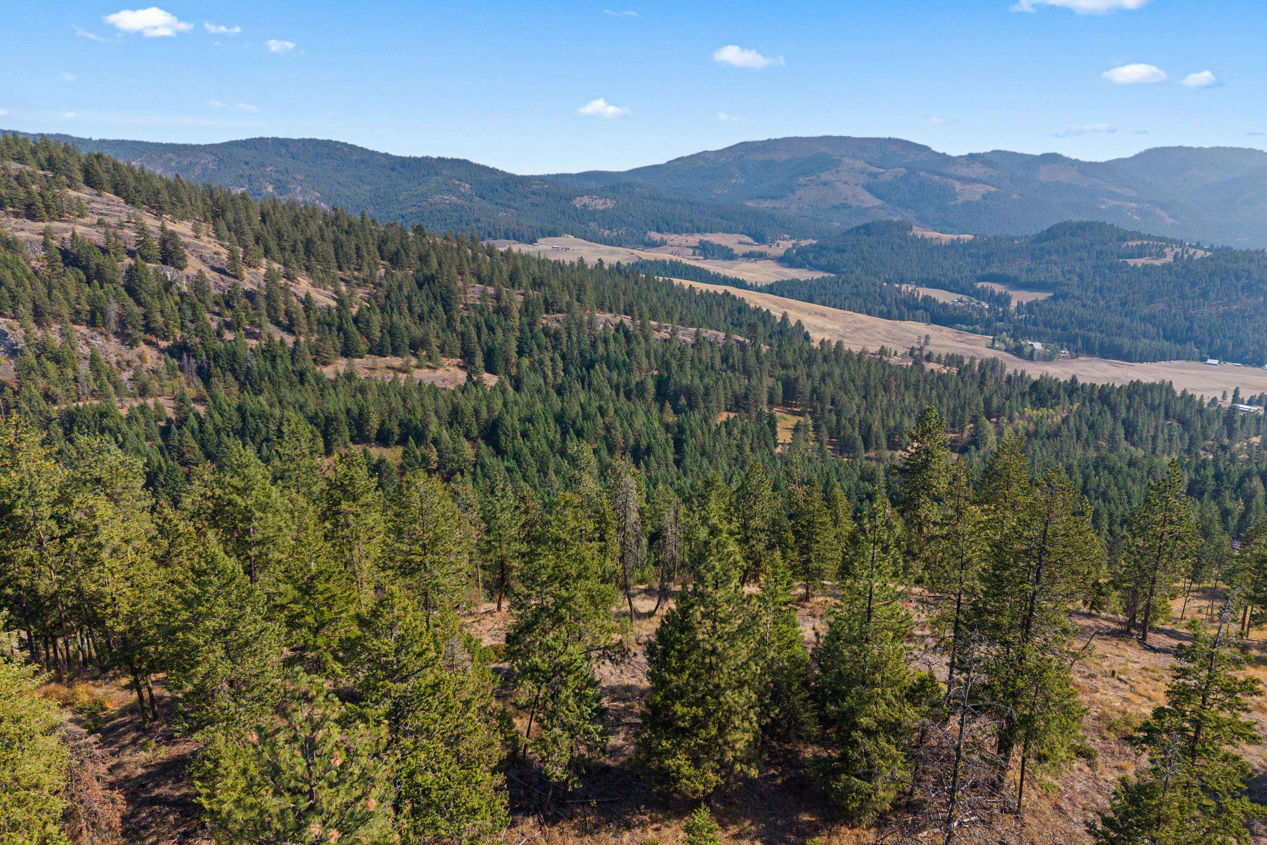 17-xx Orin-Rice Road Rice, WA 99167 - Photo 13 of 27