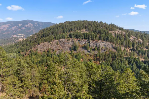 $85,000 | 17-xx Orin-Rice Road, Rice, WA 99167