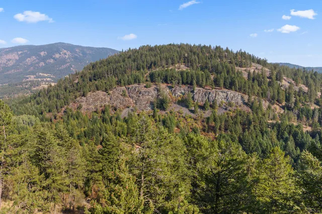 $85,000 | 17-xx Orin-Rice Road, Rice, WA 99167