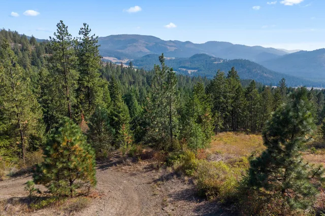 $85,000 | 17-xx Orin-Rice Road, Rice, WA 99167