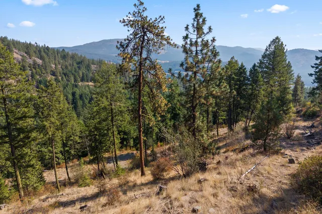 $85,000 | 17-xx Orin-Rice Road, Rice, WA 99167