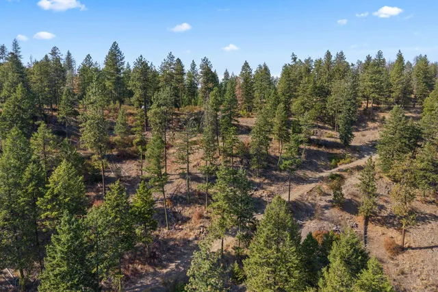 $85,000 | 17-xx Orin-Rice Road, Rice, WA 99167