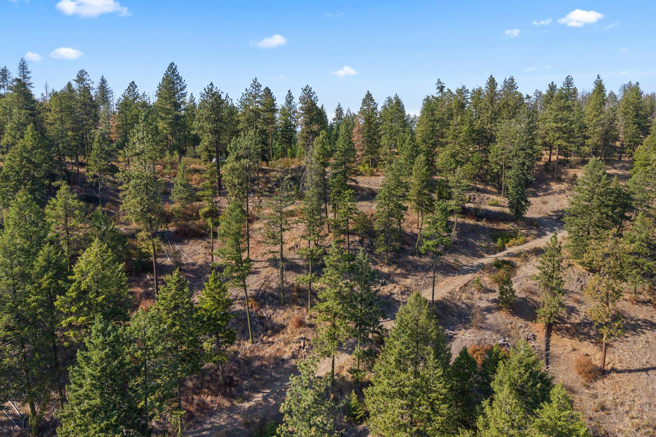 17-xx Orin-Rice Road Rice, WA 99167 - Photo 18 of 27