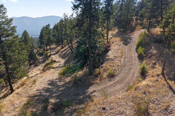 $85,000 | 17-xx Orin-Rice Road, Rice, WA 99167