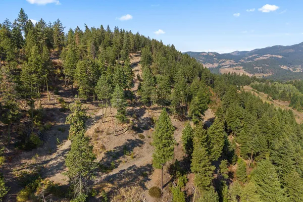$85,000 | 17-xx Orin-Rice Road, Rice, WA 99167