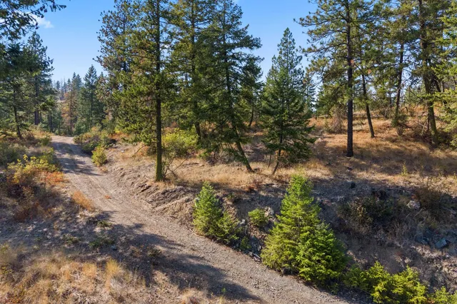 $85,000 | 17-xx Orin-Rice Road, Rice, WA 99167