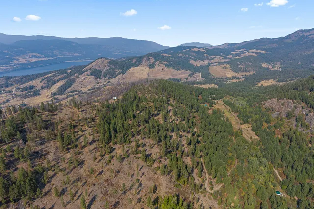 $85,000 | 17-xx Orin-Rice Road, Rice, WA 99167