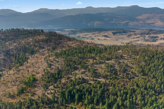 $85,000 | 17-xx Orin-Rice Road, Rice, WA 99167