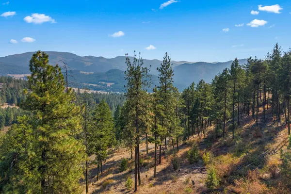 $85,000 | 17-xx Orin-Rice Road, Rice, WA 99167
