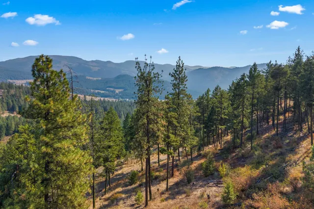 $85,000 | 17-xx Orin-Rice Road, Rice, WA 99167