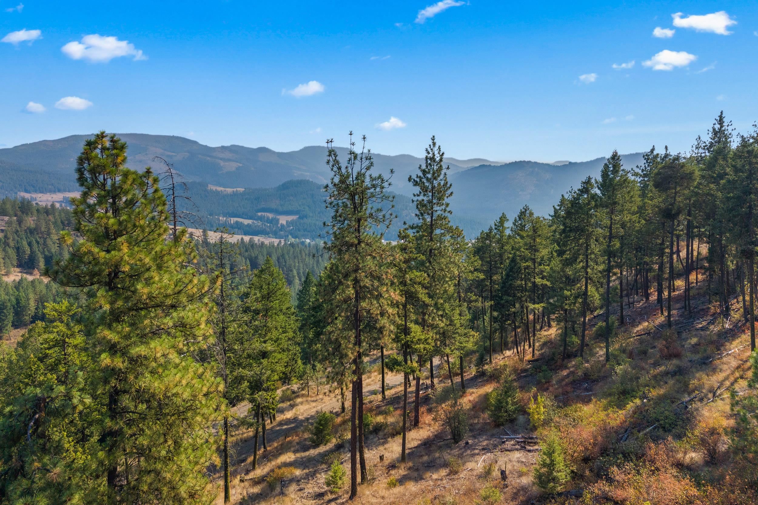 17-xx Orin-Rice Road Rice, WA 99167 - Photo 5 of 27