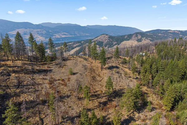 $85,000 | 17-xx Orin-Rice Road, Rice, WA 99167