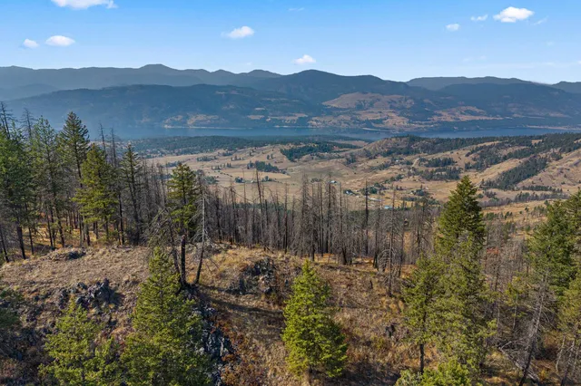 $85,000 | 17-xx Orin-Rice Road, Rice, WA 99167