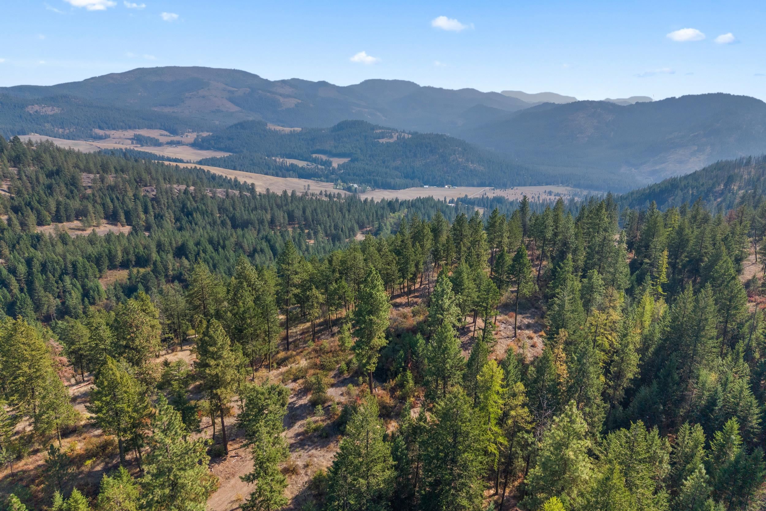 17-xx Orin-Rice Road Rice, WA 99167 - Photo 10 of 27