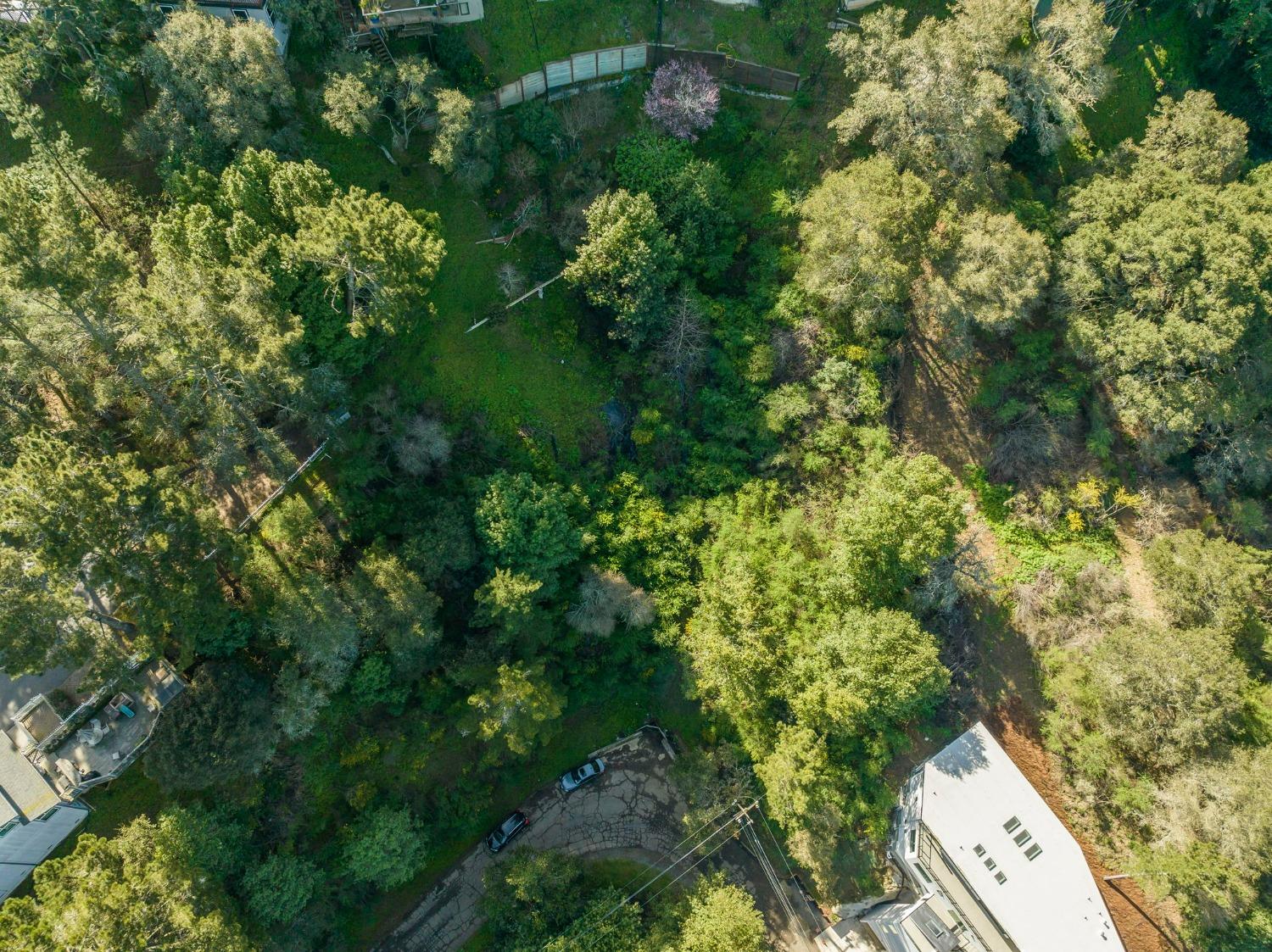 2 Westover Drive Oakland, CA 94603 - Photo 12 of 12 view of a yard with plants