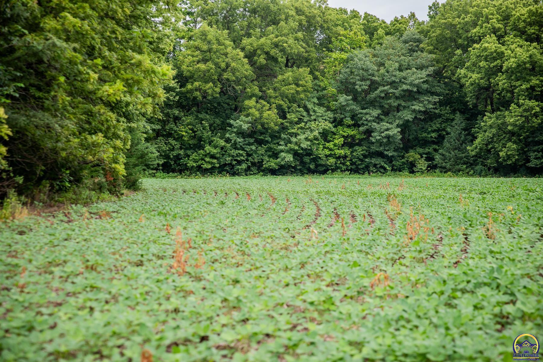 0 Walnut Creek Road Riley, KS 66531 - Photo 25 of 78 Gallery Image 25