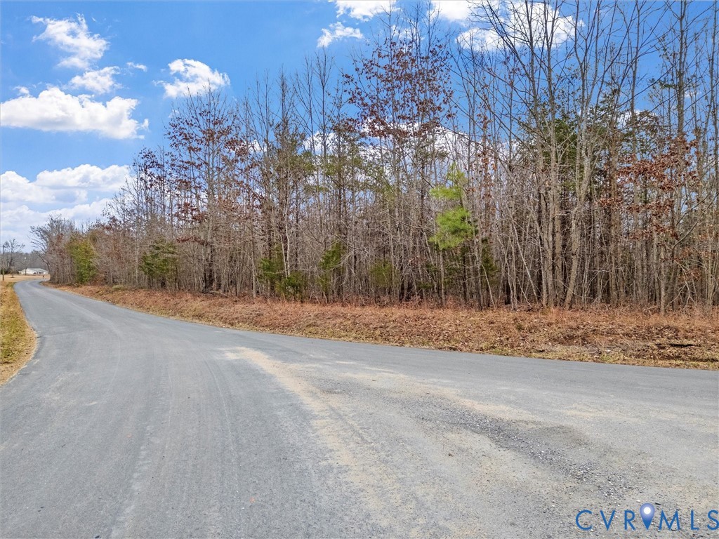 0 Hall Road Buckingham, VA 23921 - Photo 8 of 13
