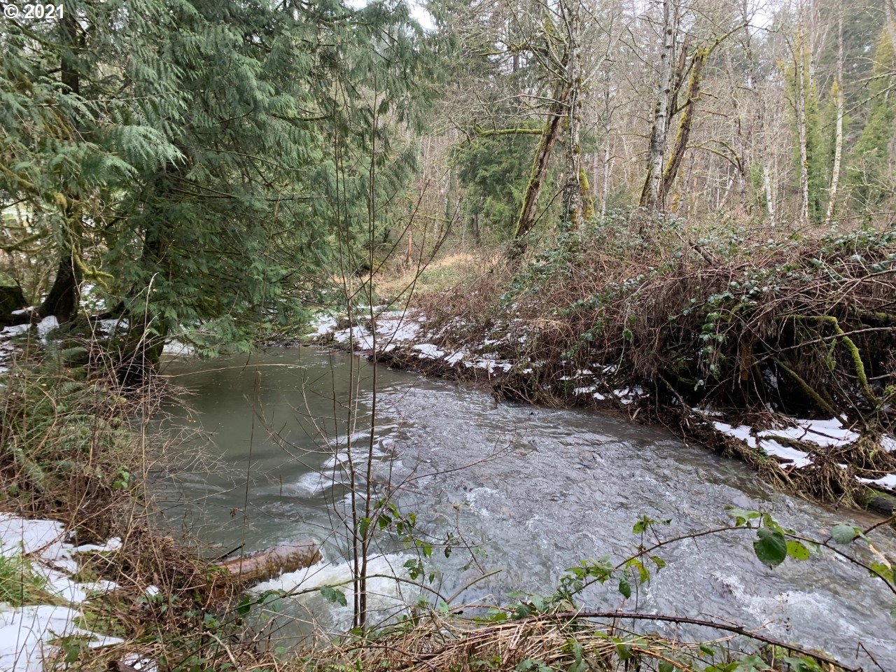 10615 Northwest Old Cornelius Pass Road Portland, OR 97231 - Photo 25 of 26 Gallery Image 25