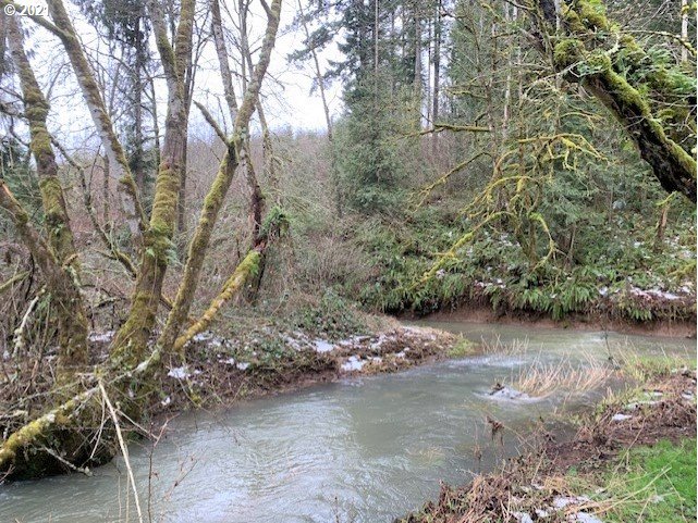 10615 Northwest Old Cornelius Pass Road Portland, OR 97231 - Photo 26 of 26 Gallery Image 26