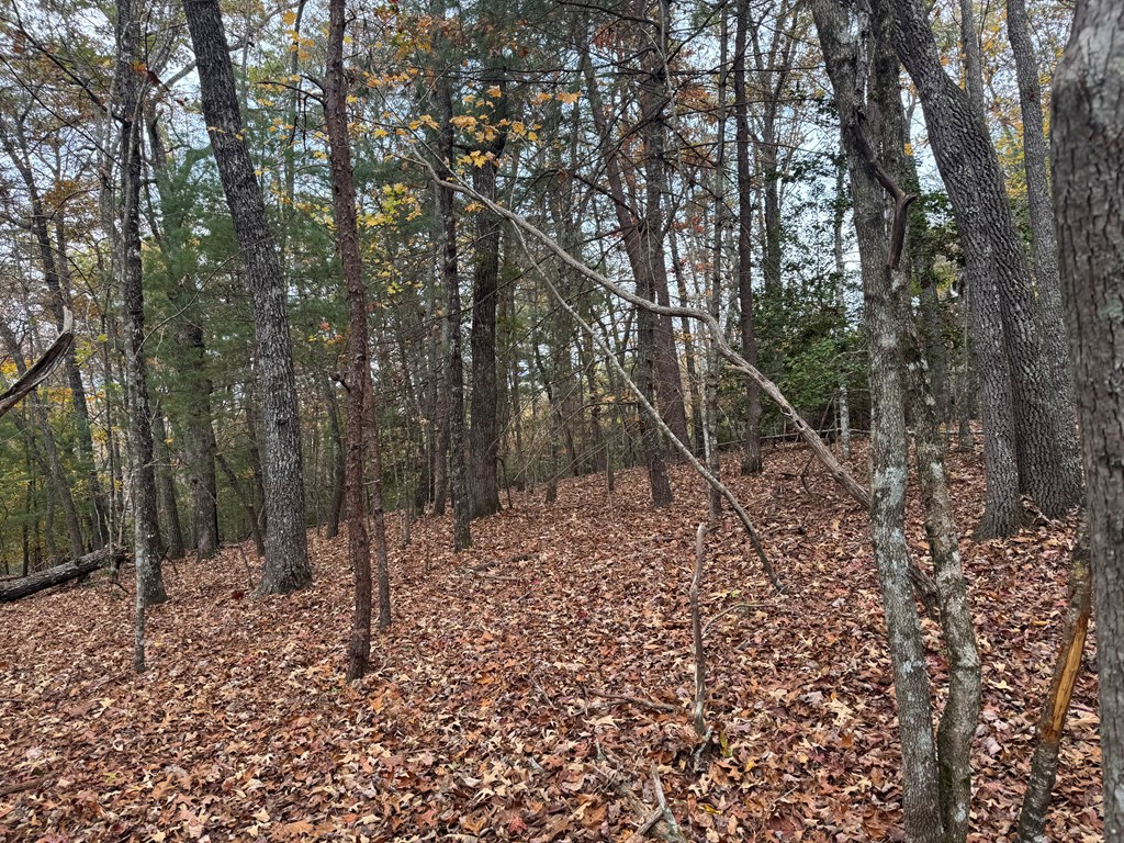 9 Paradise Park Road Murphy, NC 28906 - Photo 14 of 17 Gallery Image 14