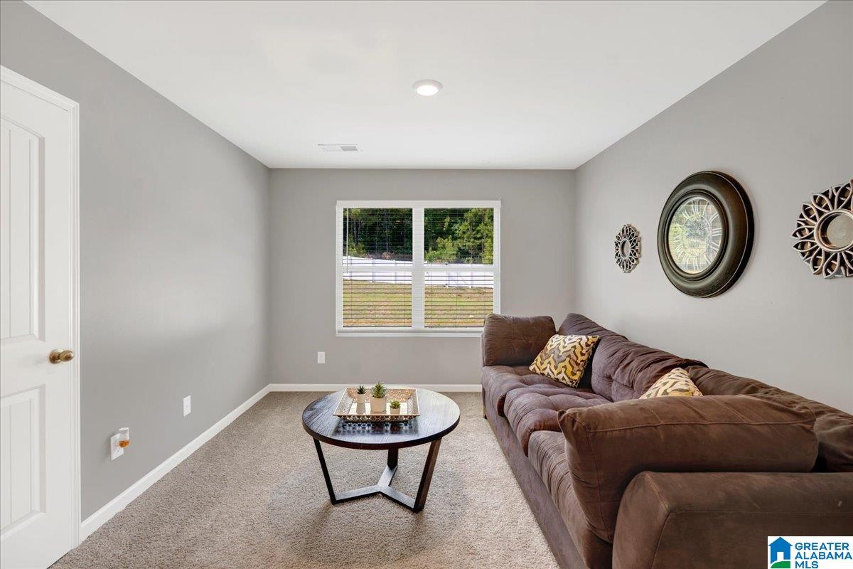 1075 Flyway View Lane Alabaster, AL 35007 - Photo 45 of 79