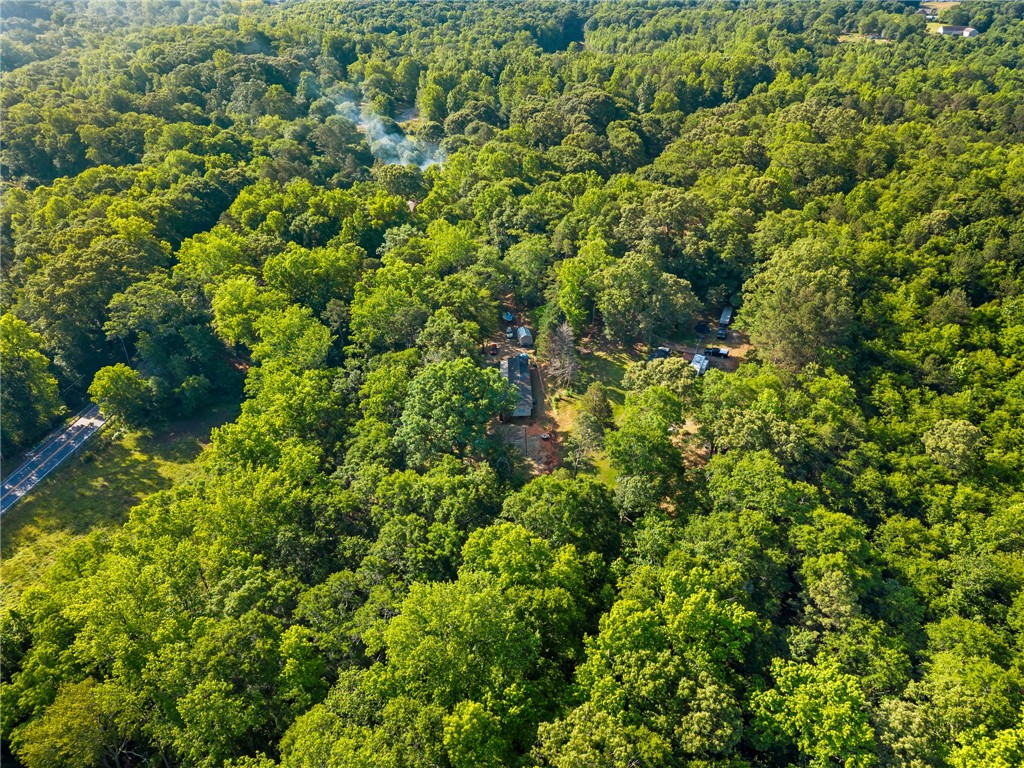 217 Old River Road Pelzer, SC 29669 - Photo 28 of 30 Discover a private residence nestled within an expansive, verdant woodland, offering secluded living.