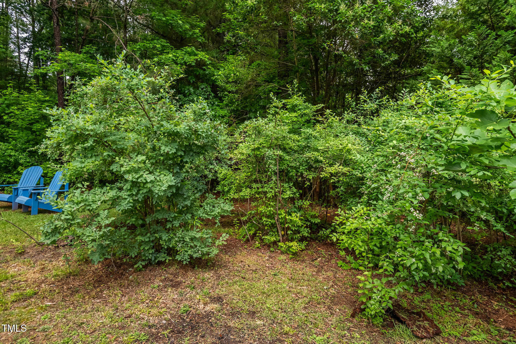 1085 Bynum Road Pittsboro, NC 27312 - Photo 32 of 41 DSC_1301-HDR