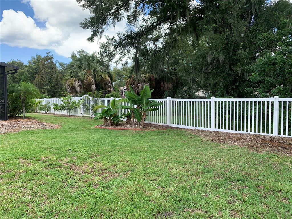 10308 Holland Road Riverview, FL 33578 - Photo 53 of 66